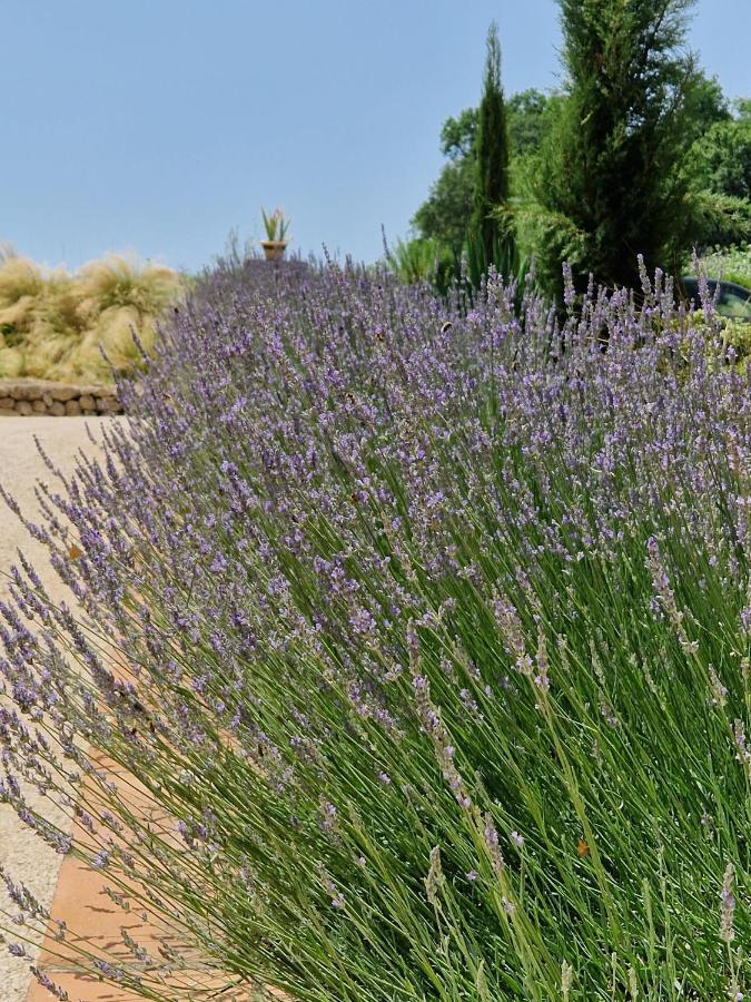 Barbarens Maison D'Hotes Castelnau-Barbarens Екстер'єр фото